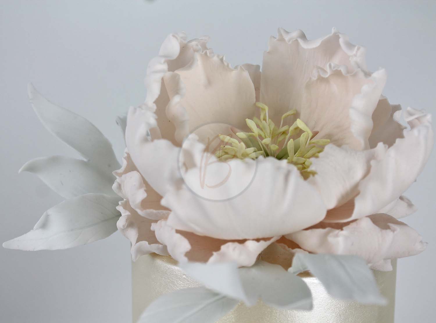 peony_ruffle_detail_1_wm.jpg