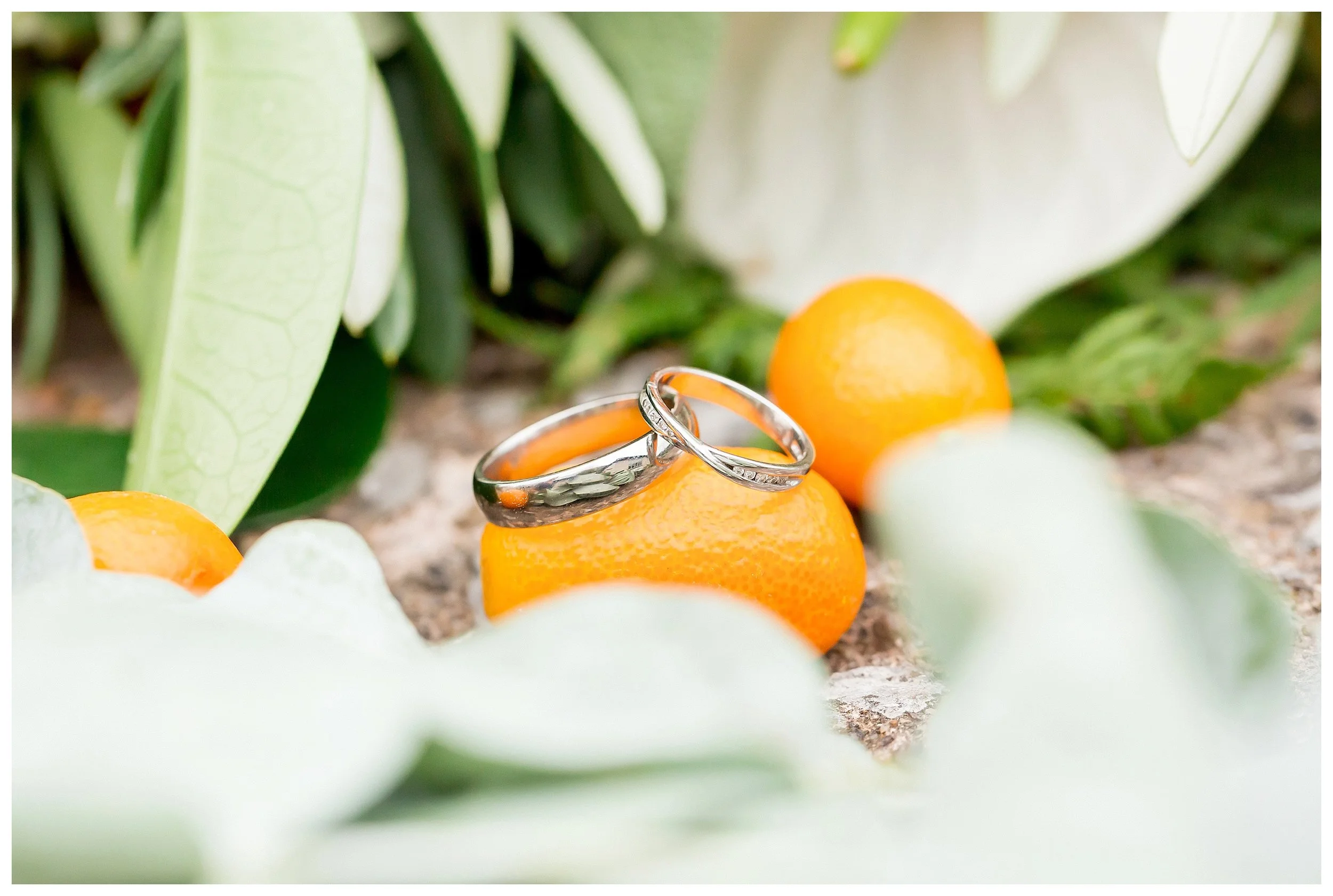 wedding rings somerset.jpg