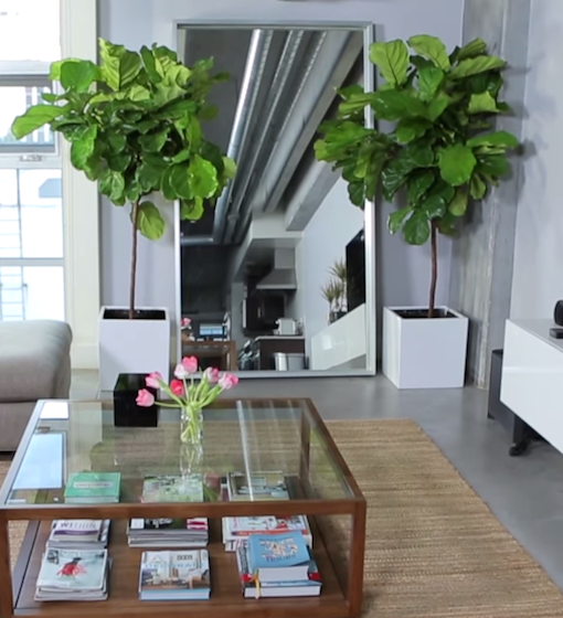 Best Indoor House Plants for Your Living Room | #PrettyLittleProjects