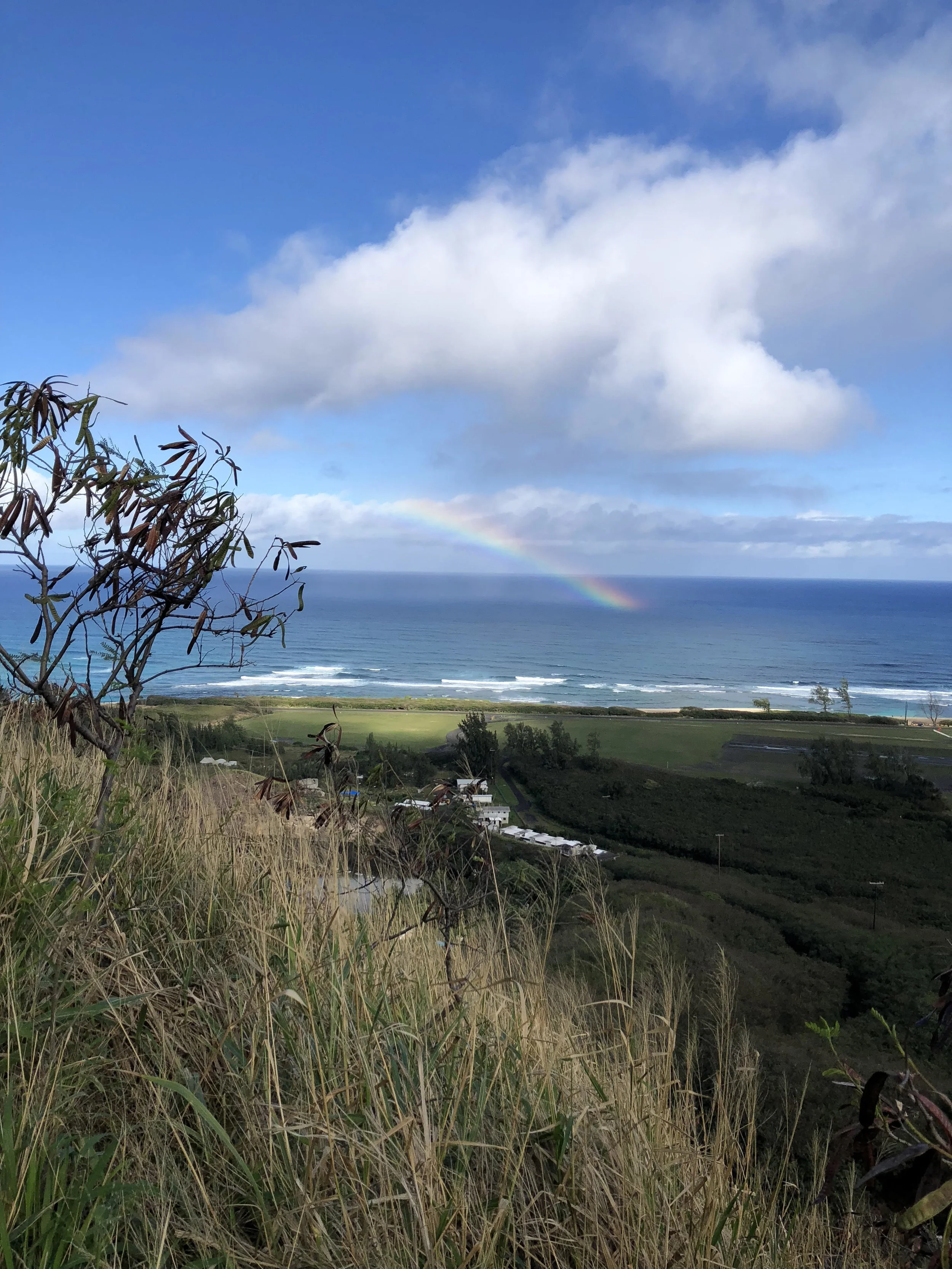 Hawaii Sunscreen Ban Waterproof Sunscreens That Are Coral Reef