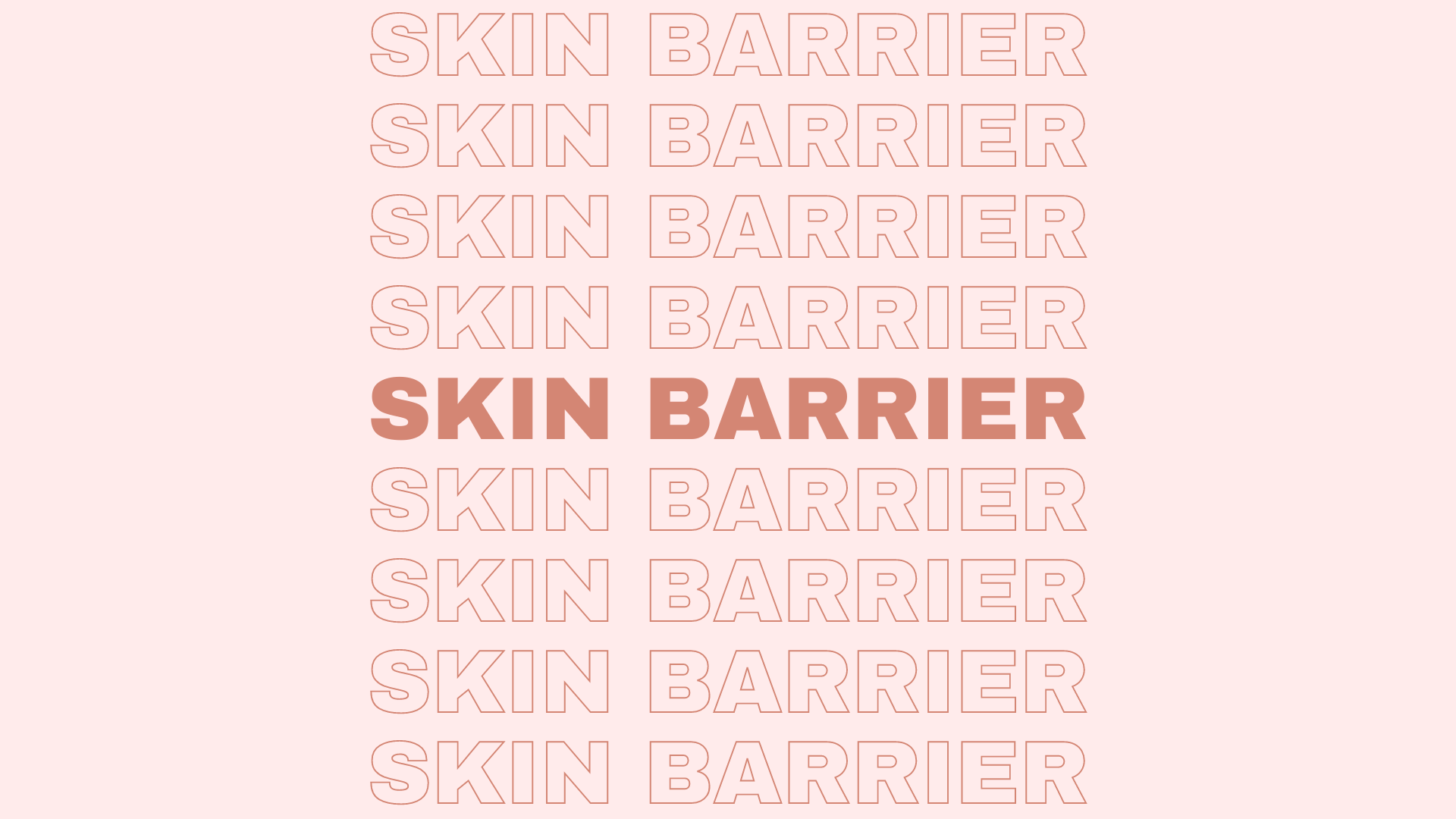 What is the Skin Barrier? Common Questions & Myths!