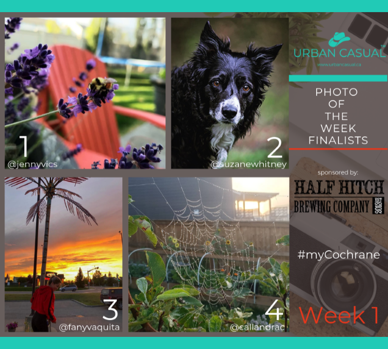 UC Photo of the Week Template Green Week 1.png
