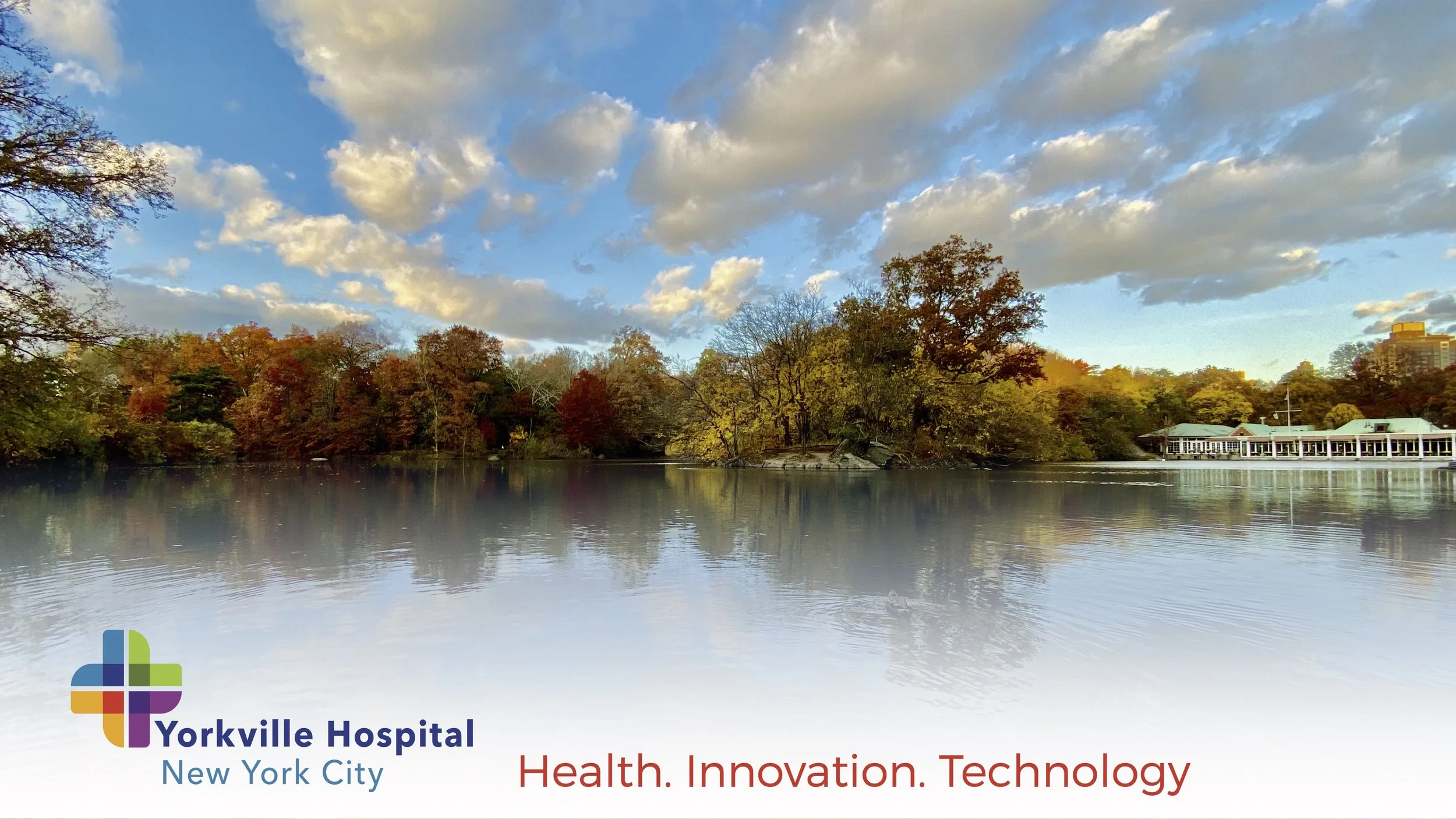 209_5_Hospital Screens_7.jpg