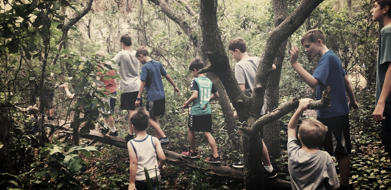 5 Principles — Deep Roots, LLC