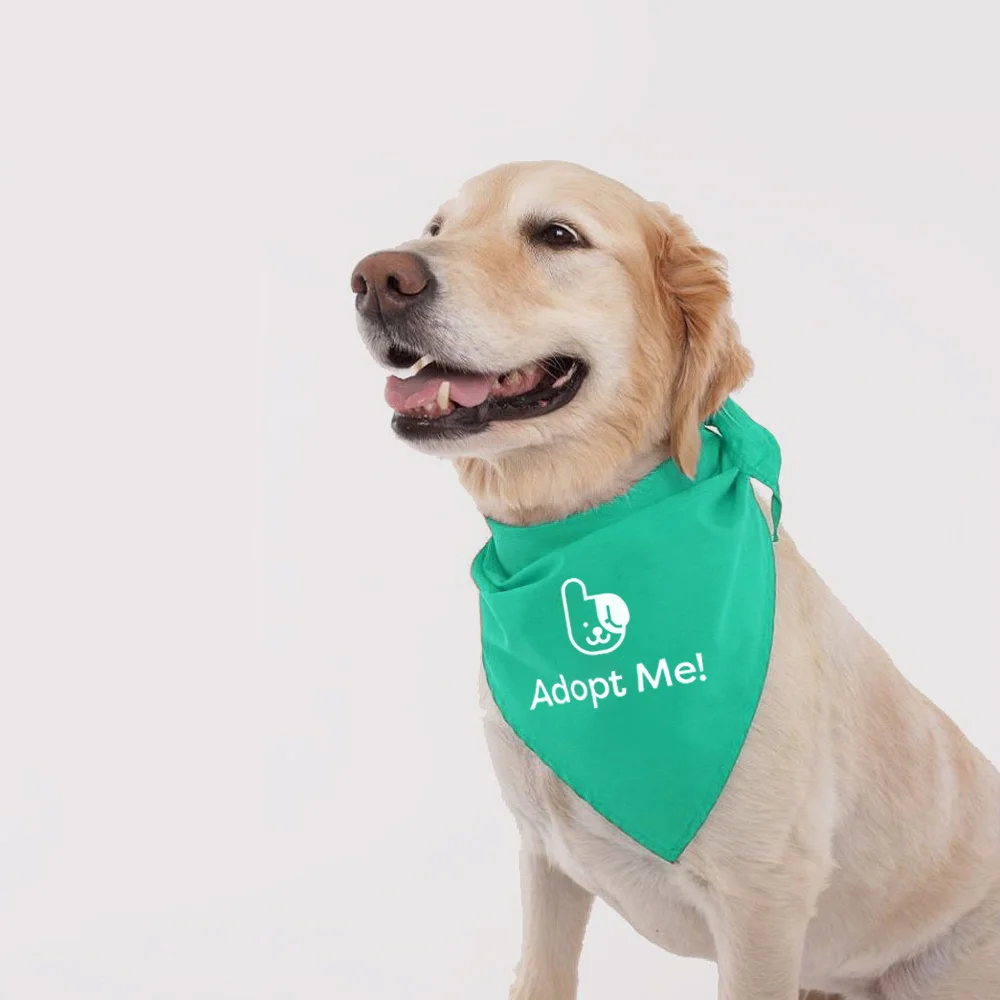Download Barking Buddies Branding Natalie Rosalinda