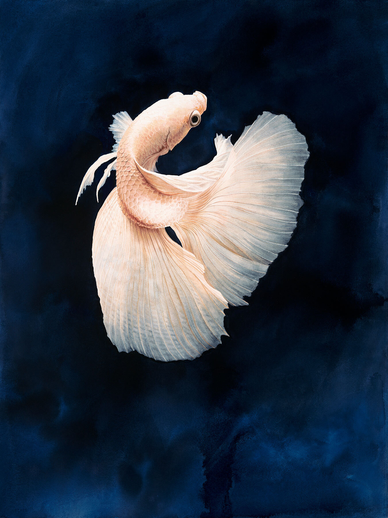 prompthunt: a graceful iridescent white betta fish with long swirling fins,  black-water-background, traditional Chinese painting