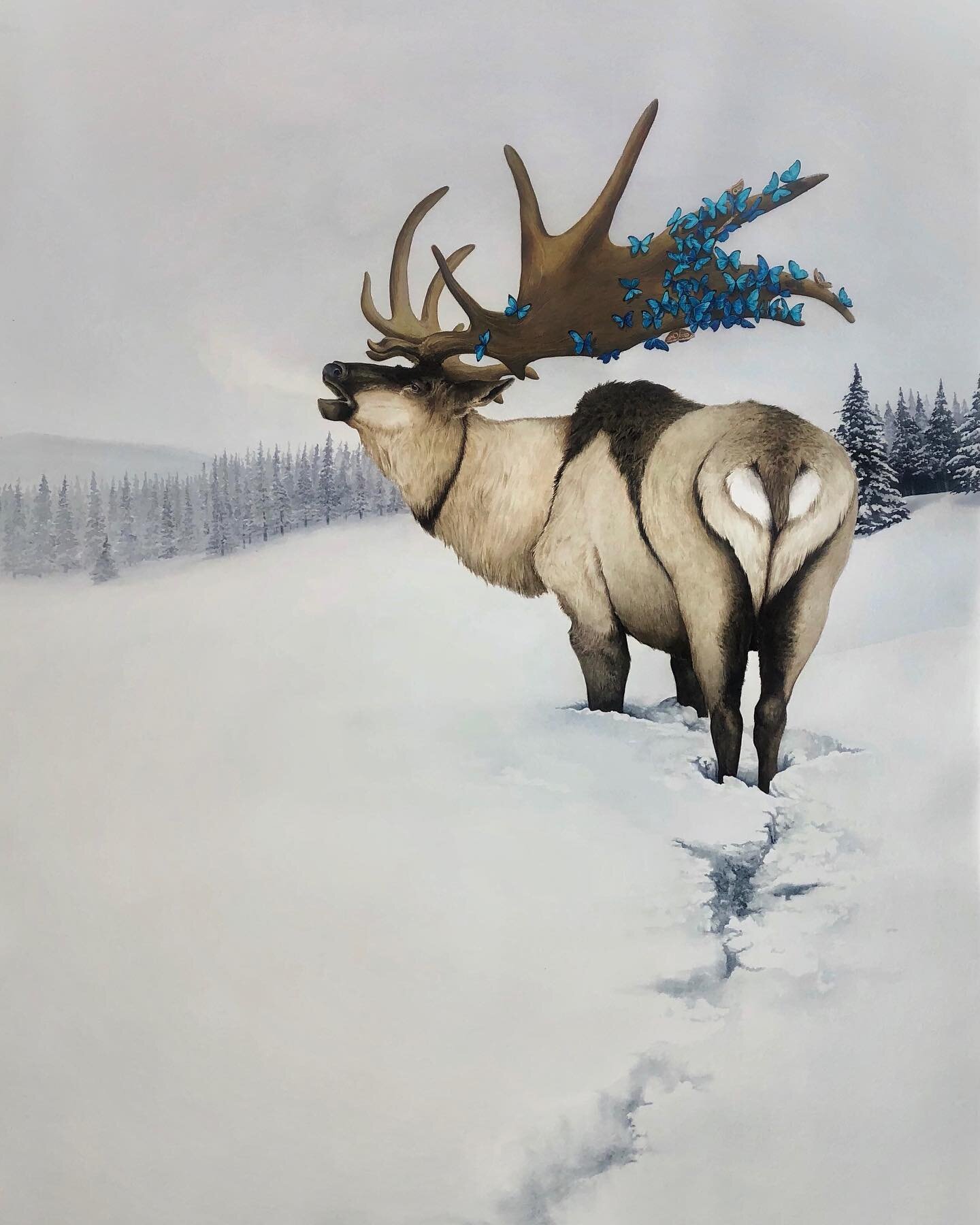 We&rsquo;ll pretend I&rsquo;m done.  Might rework later. 

&ldquo;Quarantine&rdquo; featuring an Irish Elk that went extinct 8,000 years ago. 

-
#watercolorpainting #archeswatercolorpaper