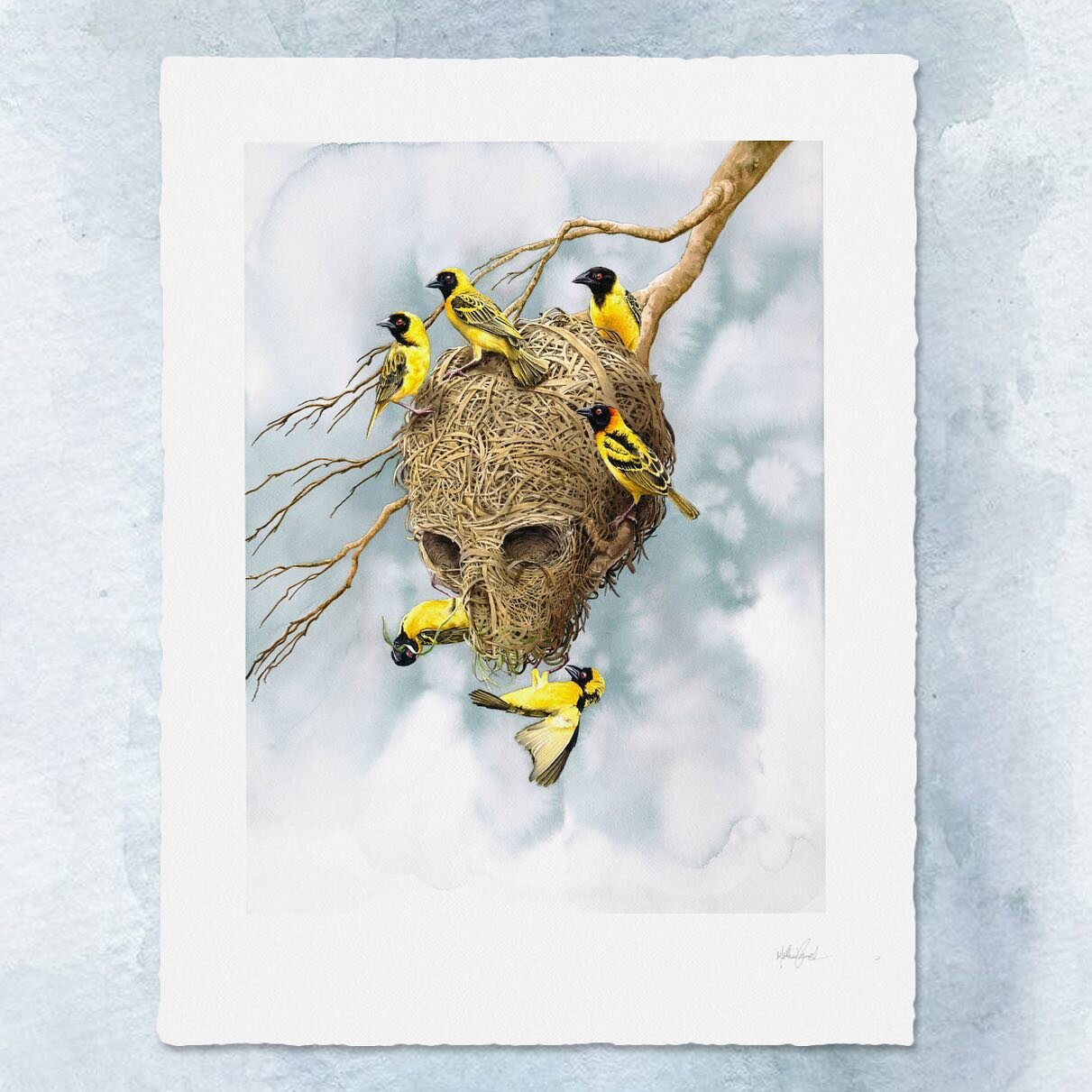 Nona Morta Limited Edition gicl&eacute;e is up in the store.  22x30 limited run.  Link in bio.