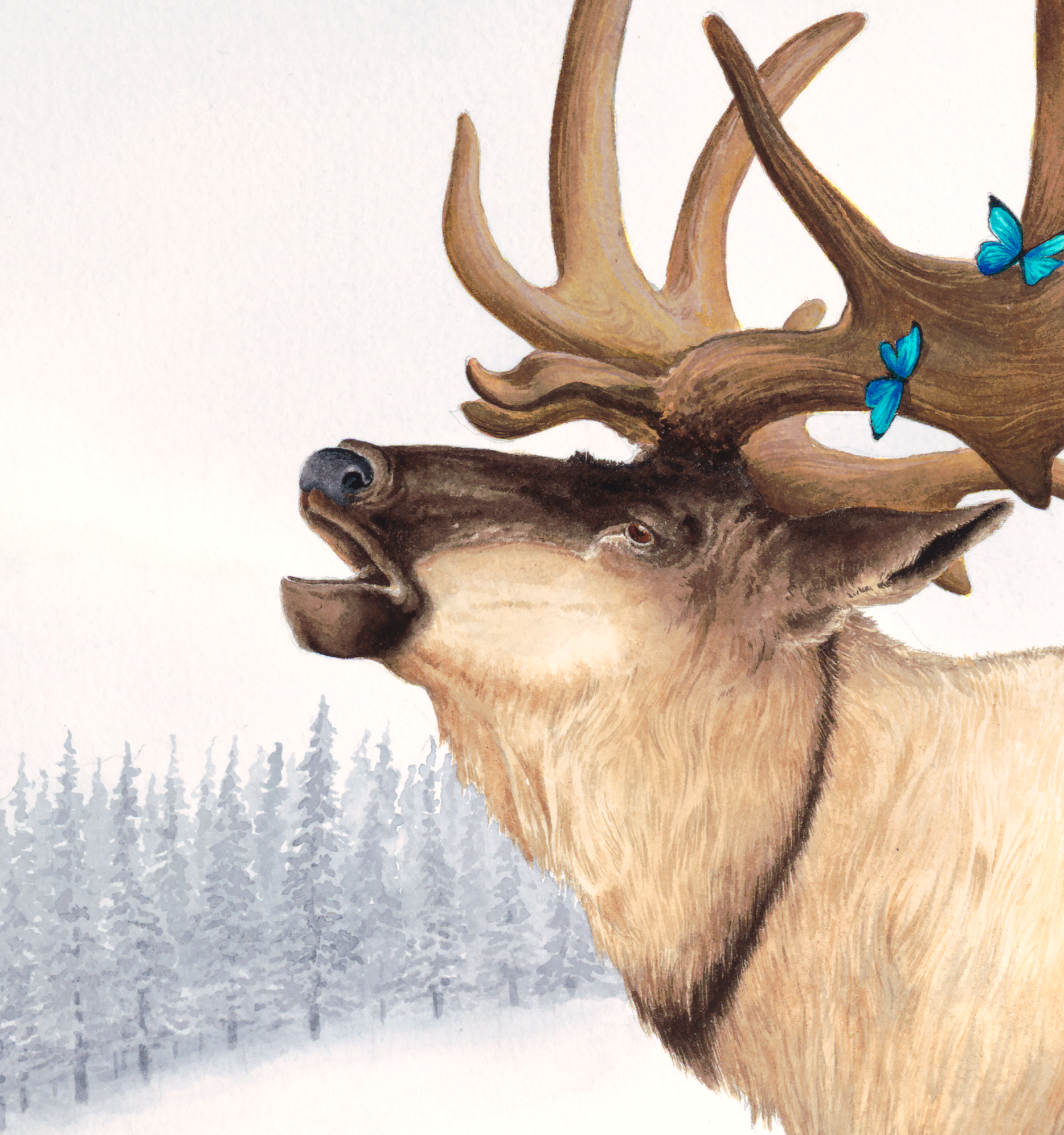 Elk_crop4.png