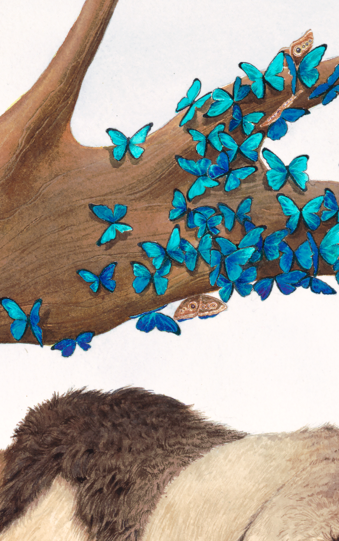 Elk_crop5.png