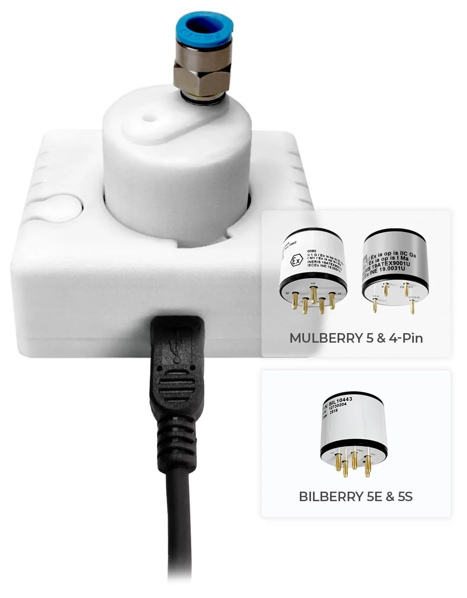 evaluation-kit for eLichens Mulberry and Bilberry gas sensor