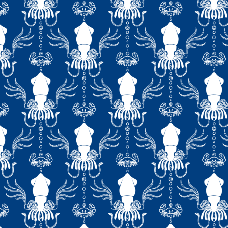 squid.png