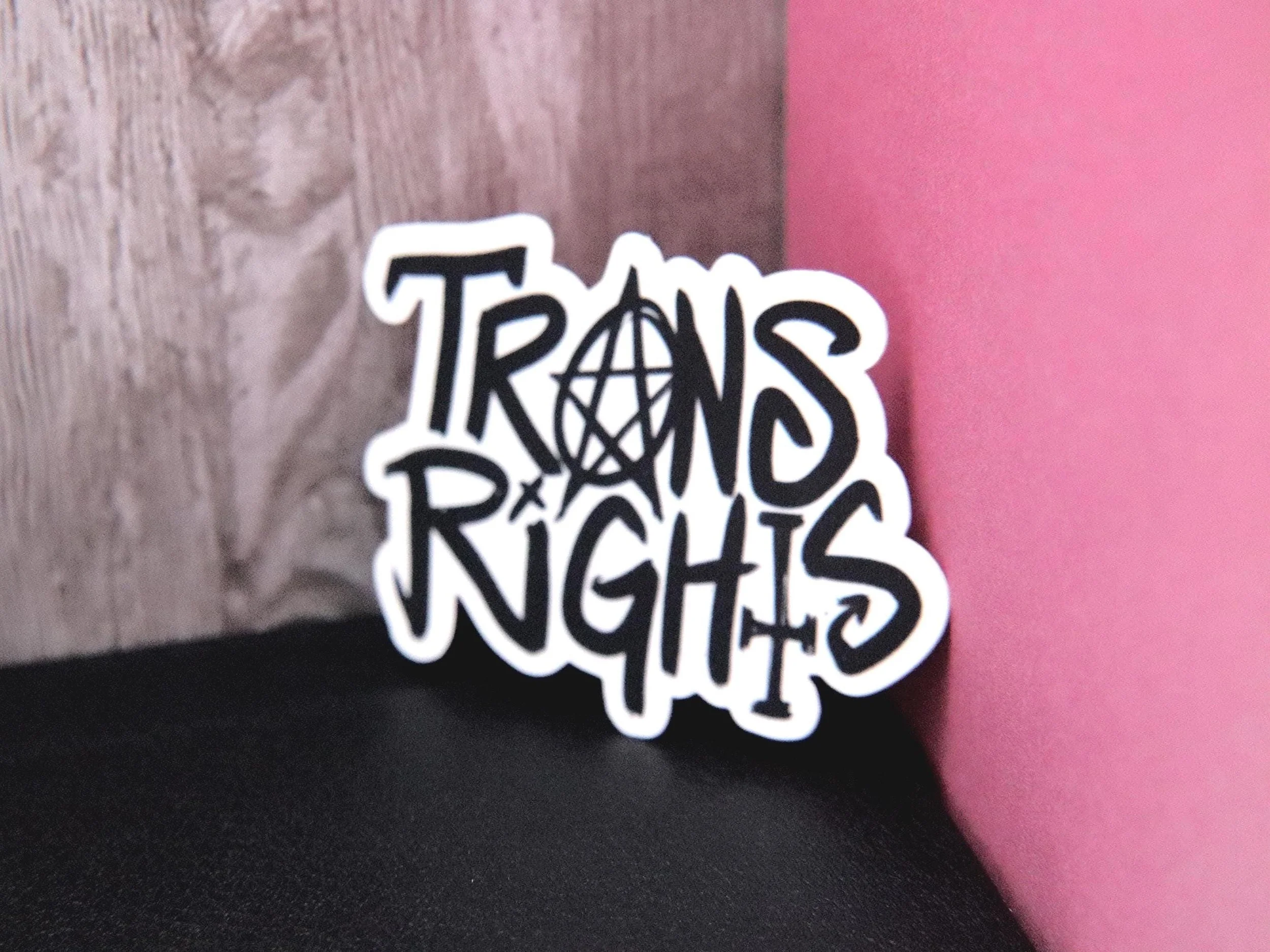 TRANS RIGHTS Sticker