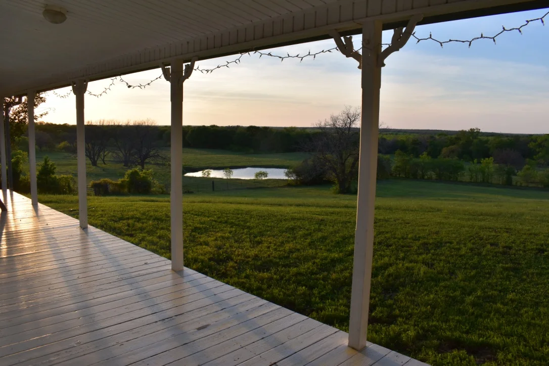 View of Trees and Pond from Back Porch