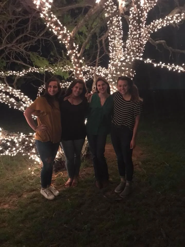 Lighted Trees add Festivity to any Occasion.