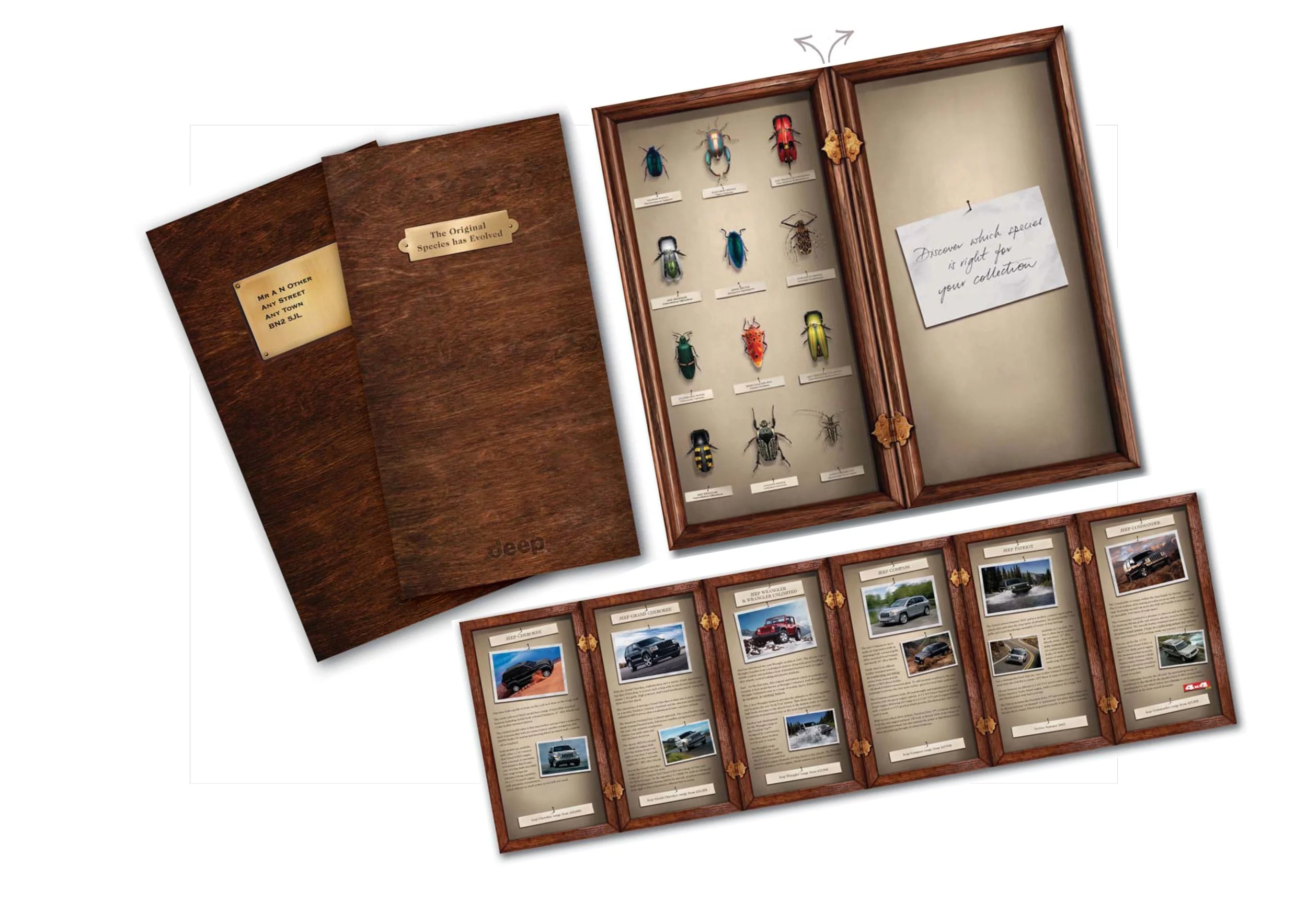 speciesfinal for website.jpg