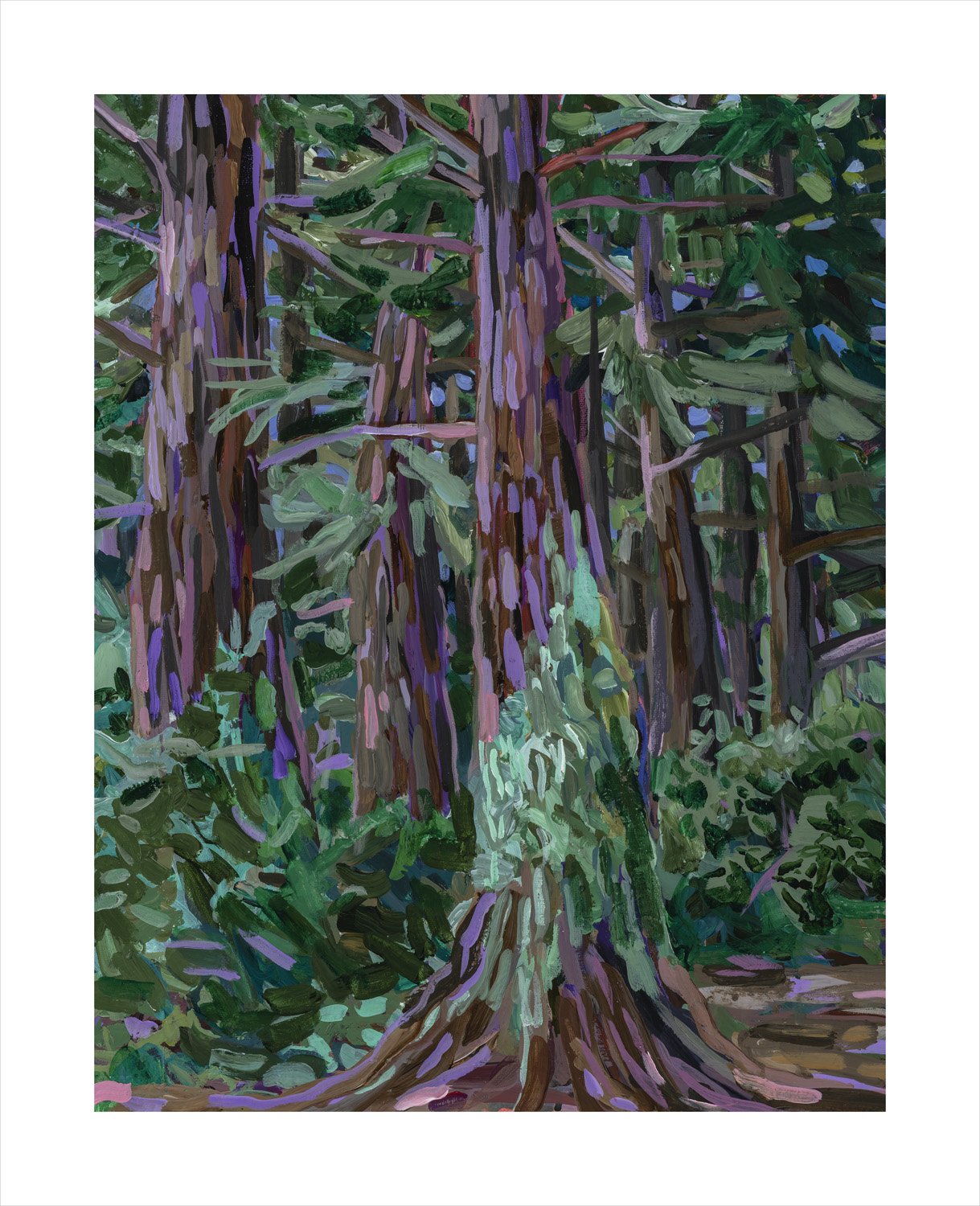 Cathedral Grove 16 x 20 Print
