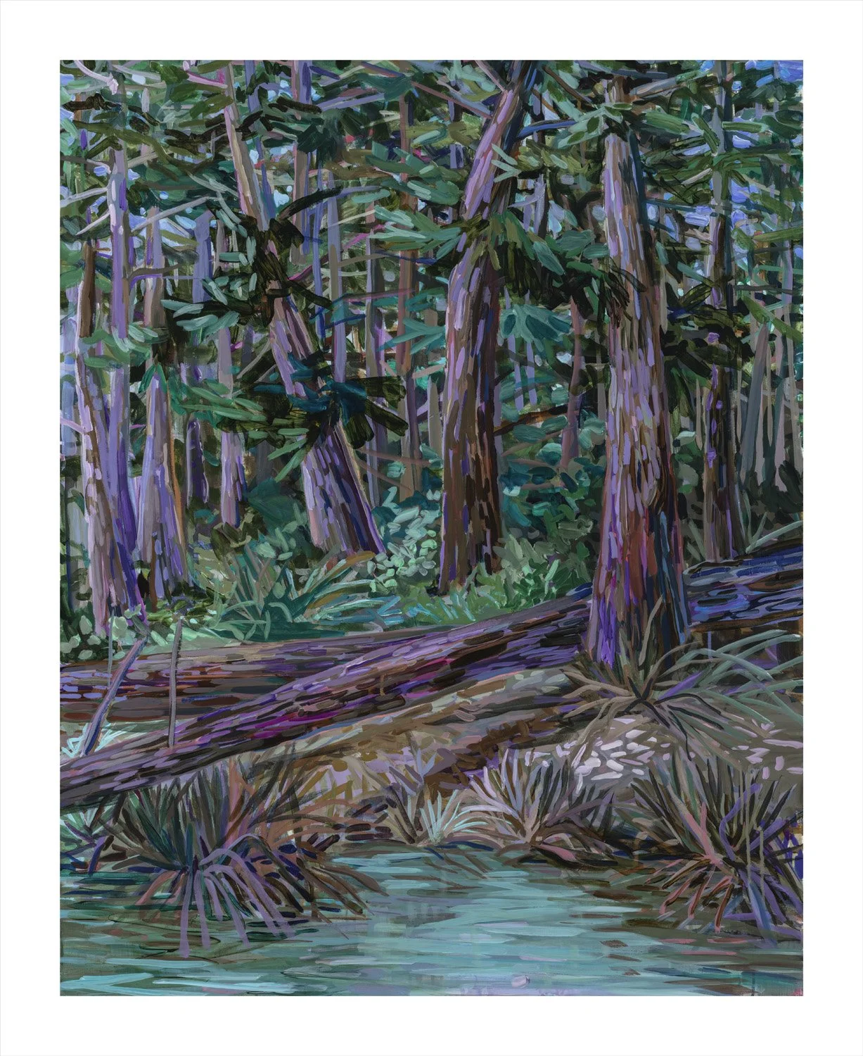 Down To Earth 2 - 16x20 Print