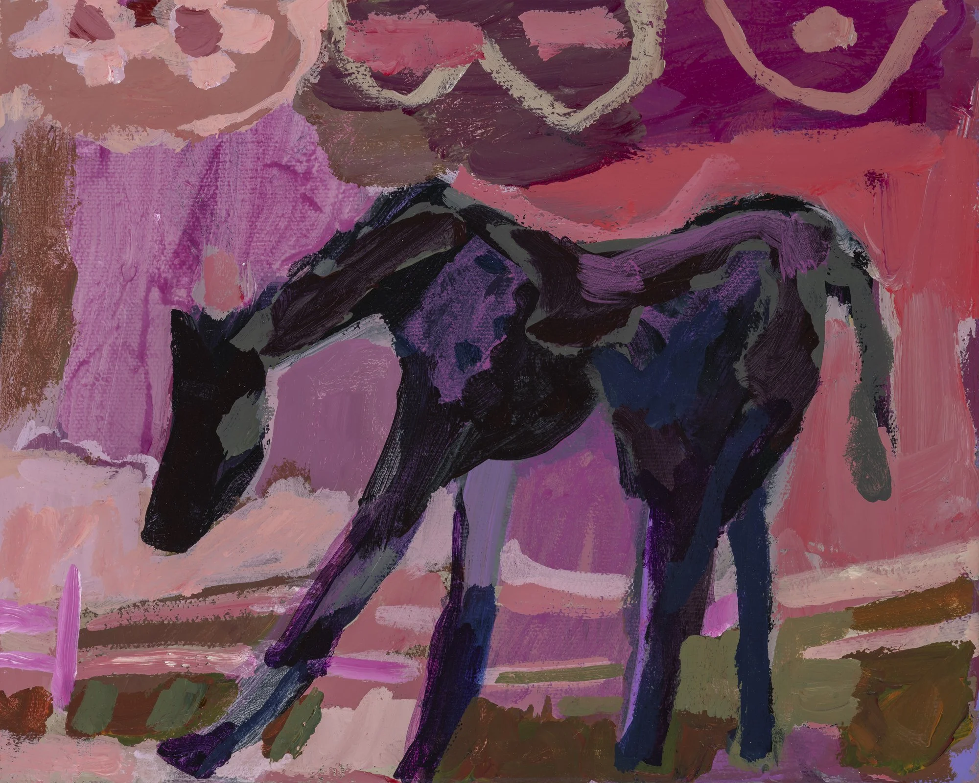 Black Horse 10x8-sharp.jpg