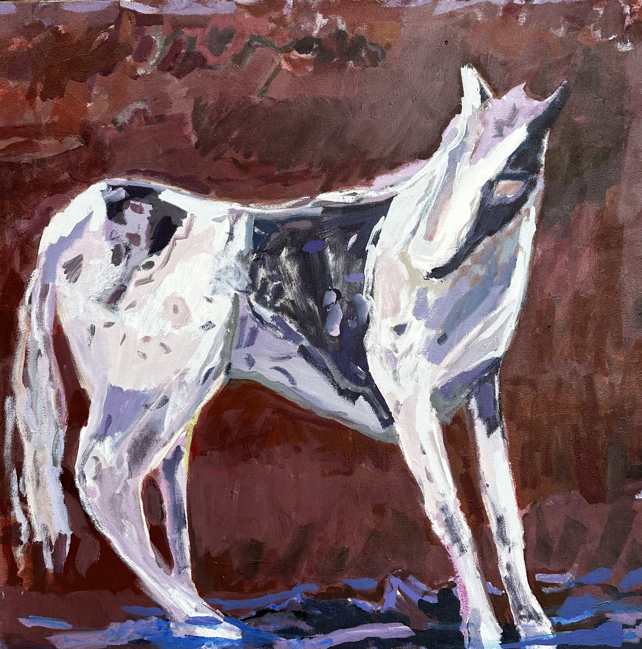 Horse To Water