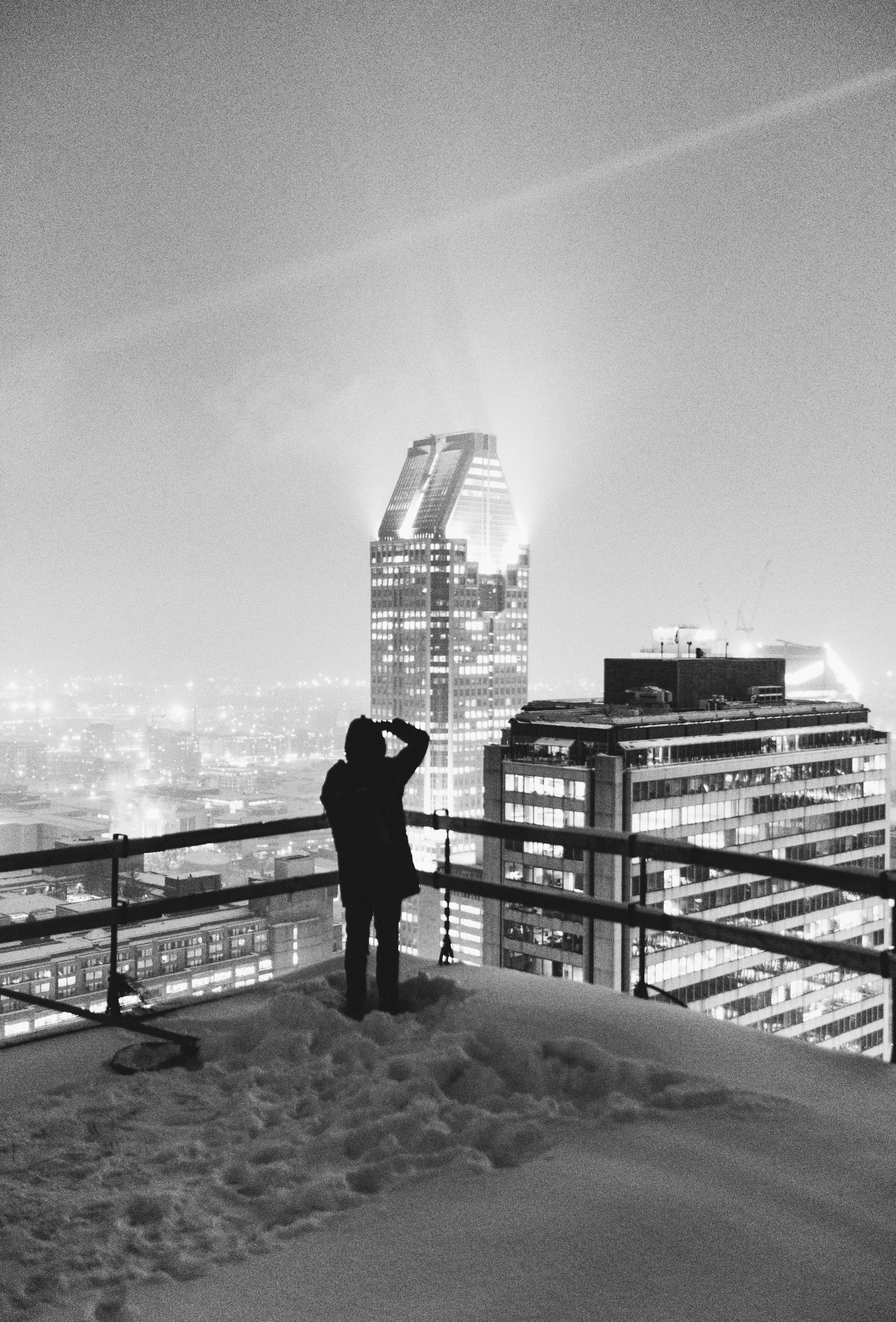 Urban snowbird-2.jpg
