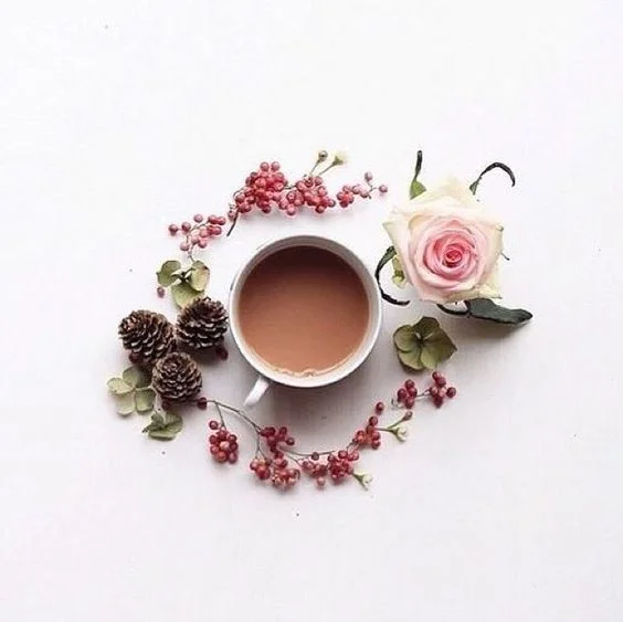 Coming Soon! Plant Medicine Tea for All