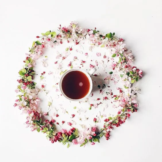 Coming Soon! Plant Medicine Tea for All