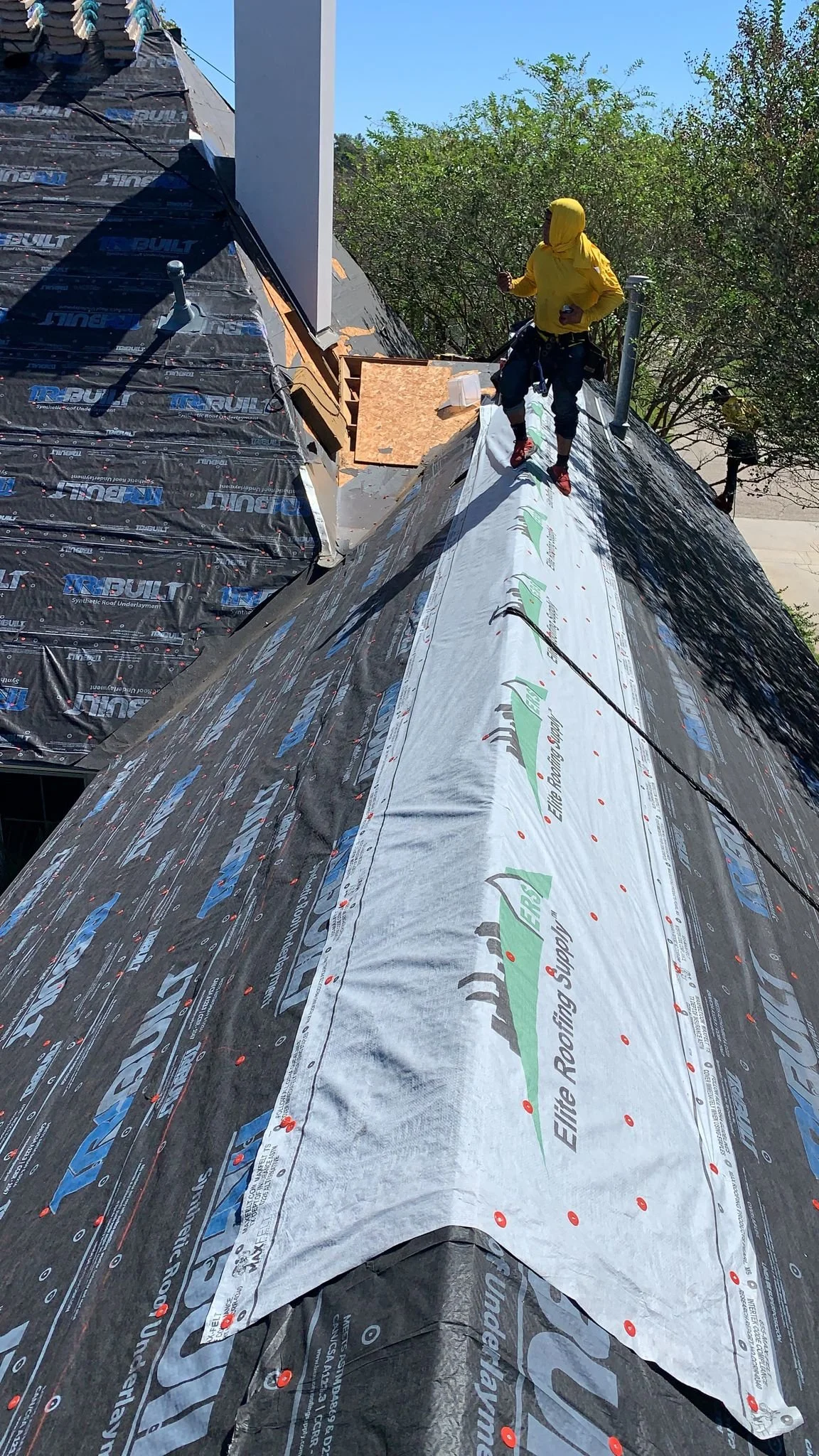 WhatsApp Image 2022-11-09 at 10.39.22 AM.jpeg