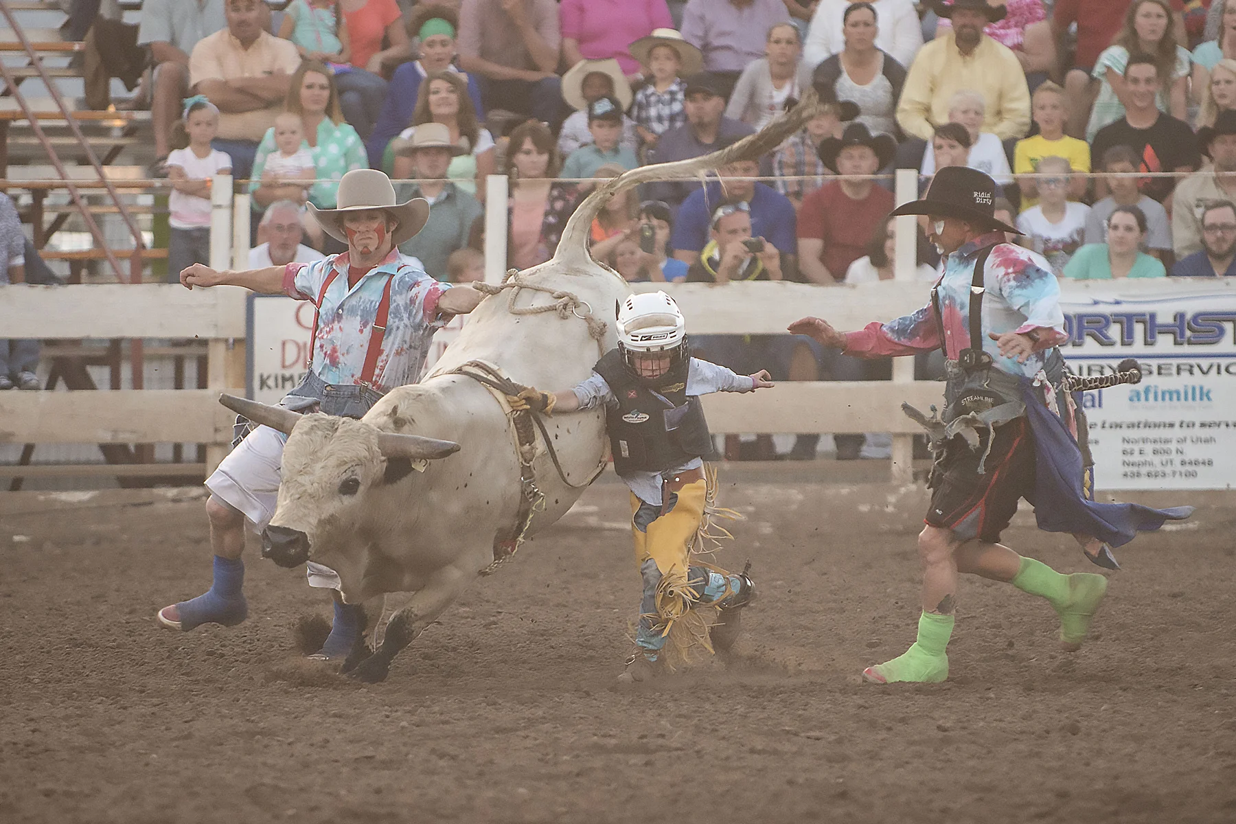 Bull Banaza 2014 19.JPG