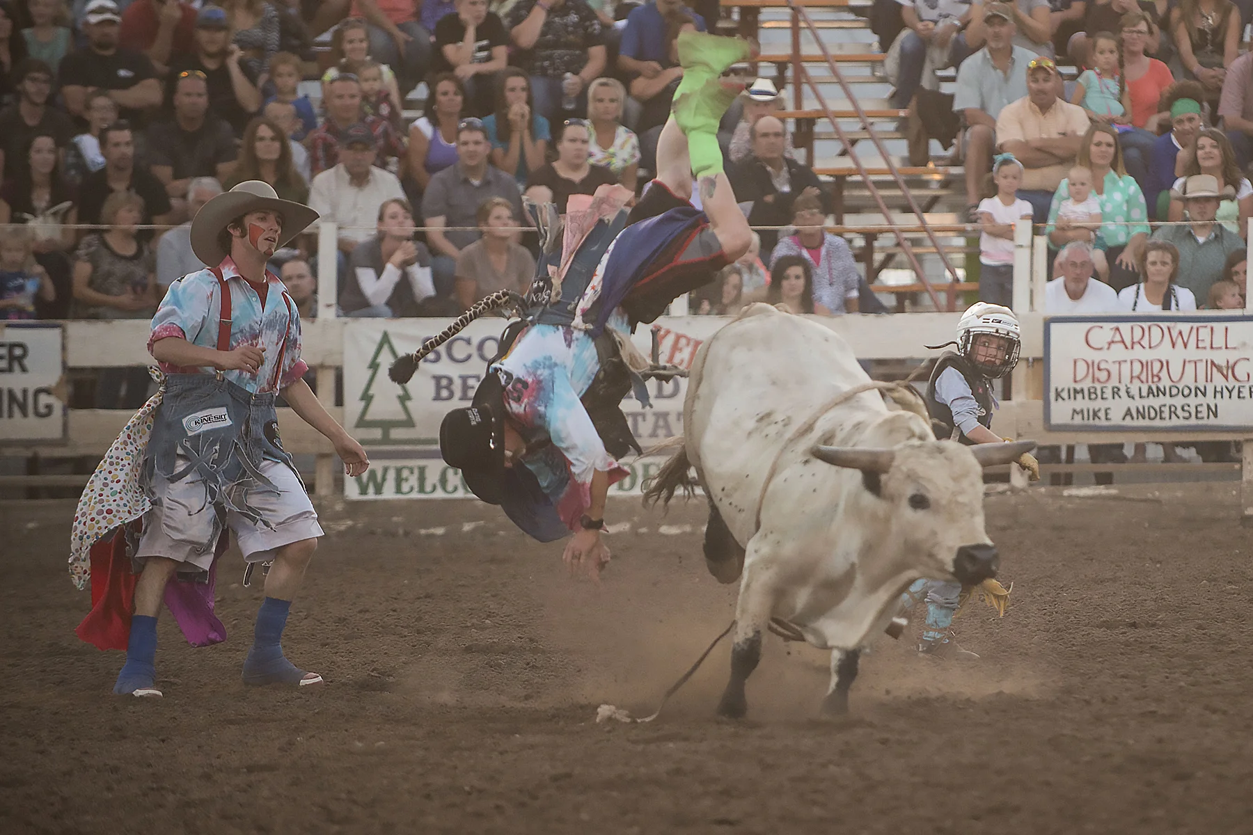 Bull Banaza 2014 20.JPG