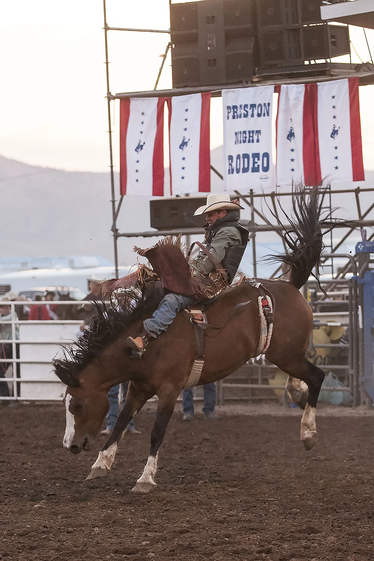 P Rodeo 2014  07.JPG