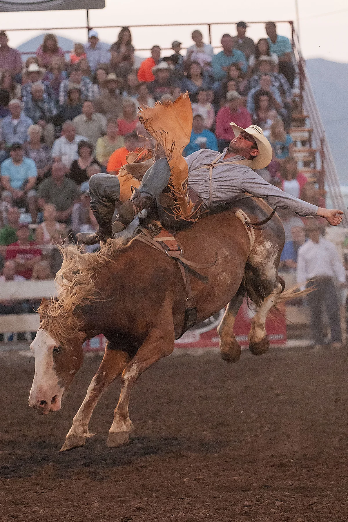 P Rodeo 2014  39.JPG