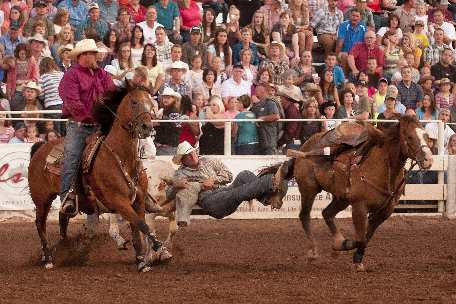 Preston Rodeo 2013017.JPG