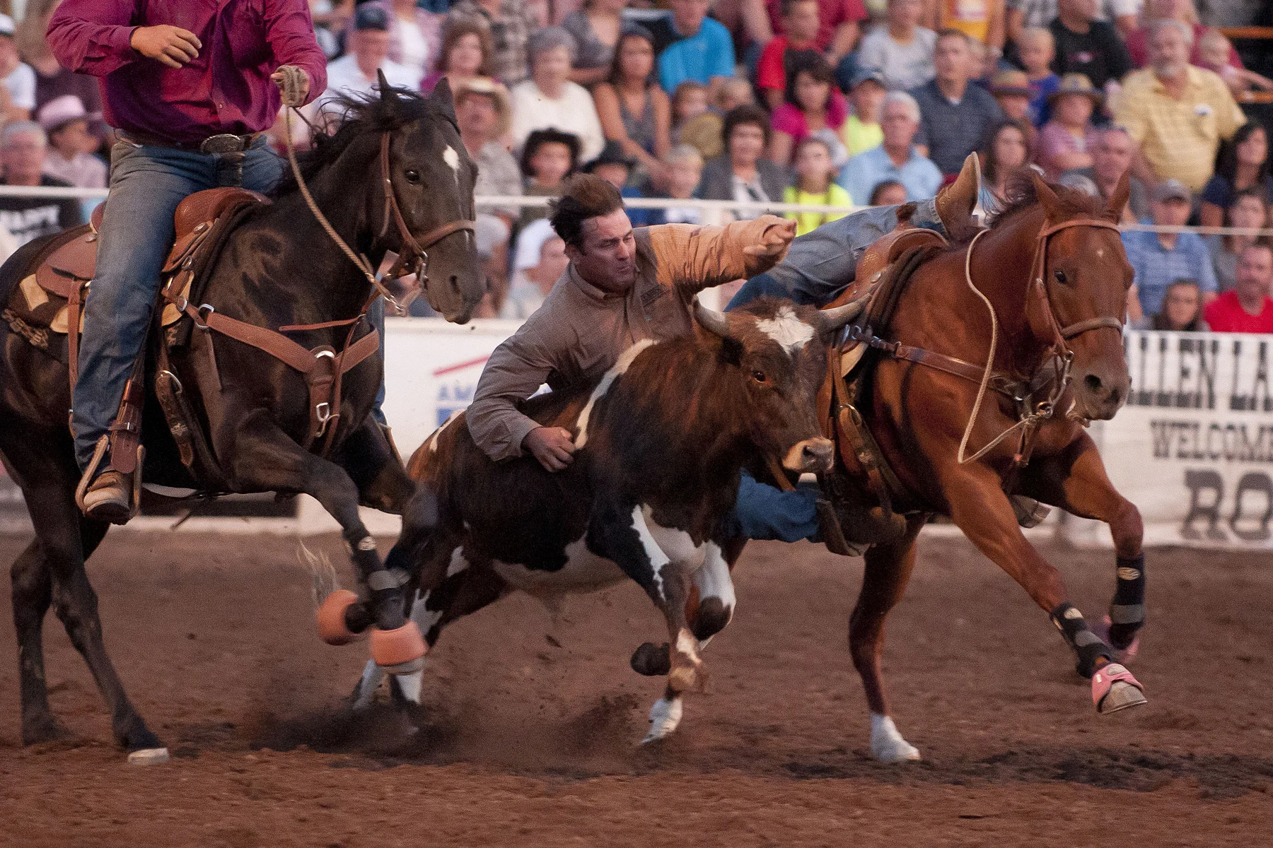 Preston Rodeo 2013033.JPG
