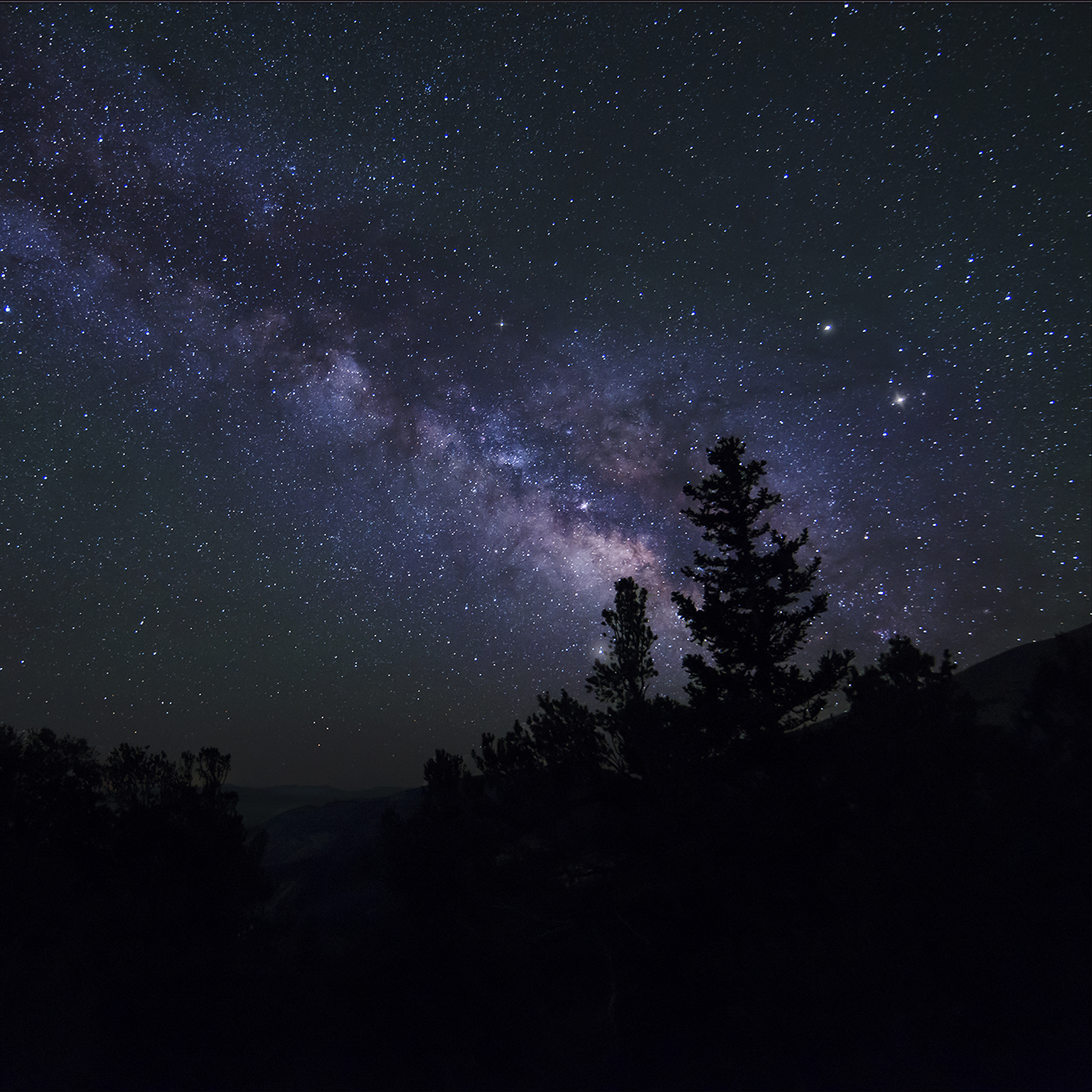 Midnight Sky
