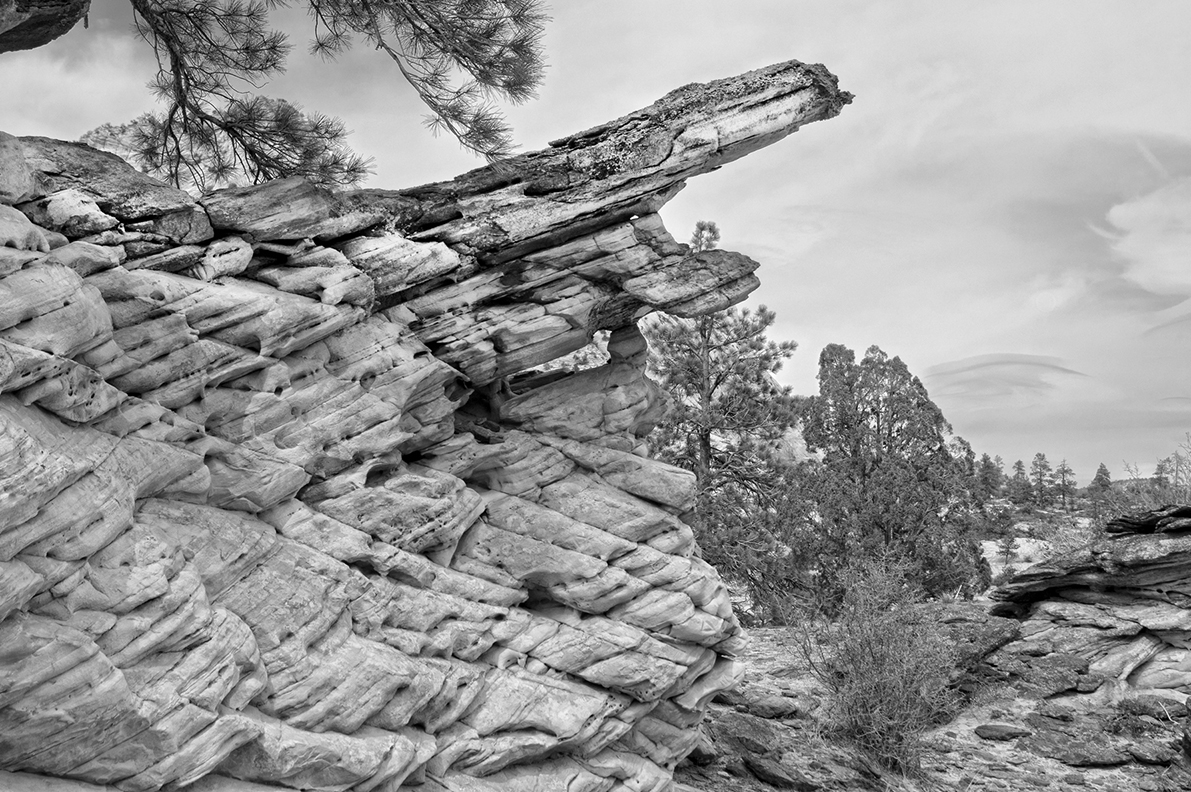 FA051 Garden Of the Gods Co..jpg