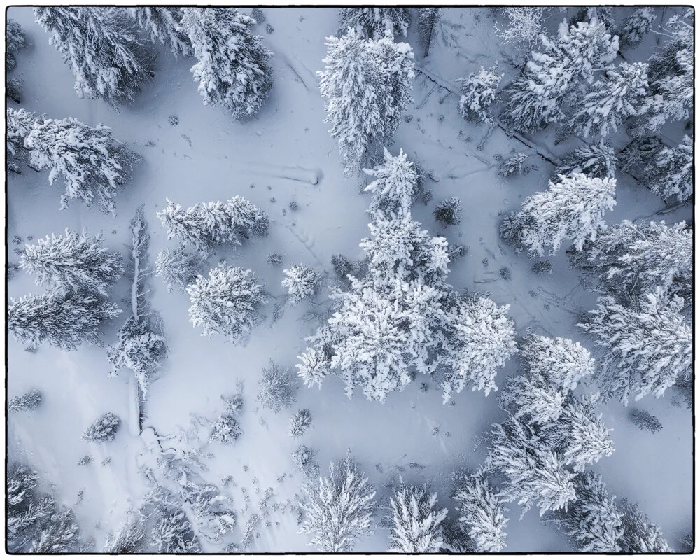 DJI_0039 - Copy.jpg