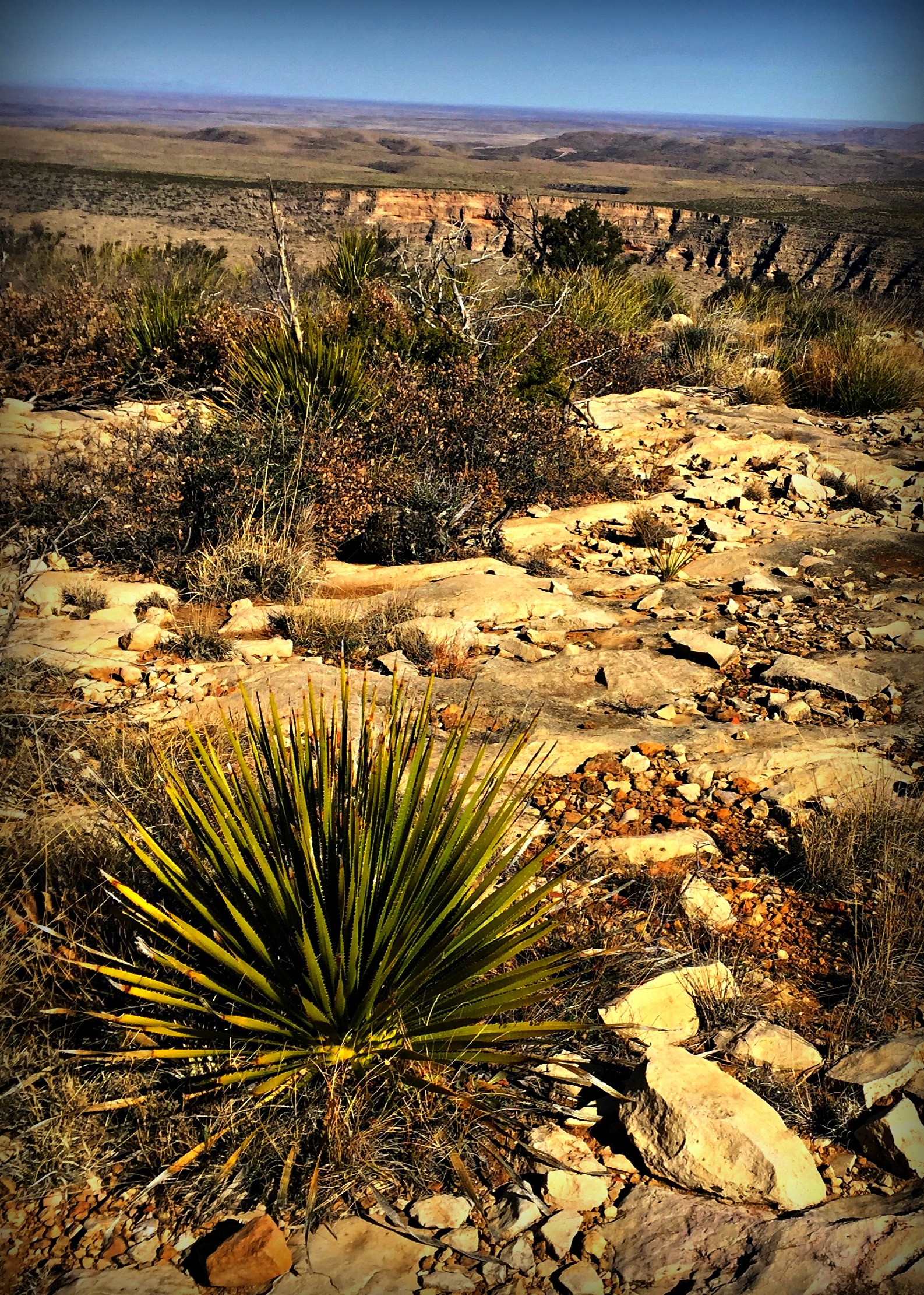 Red Rock Canyon, Nevada