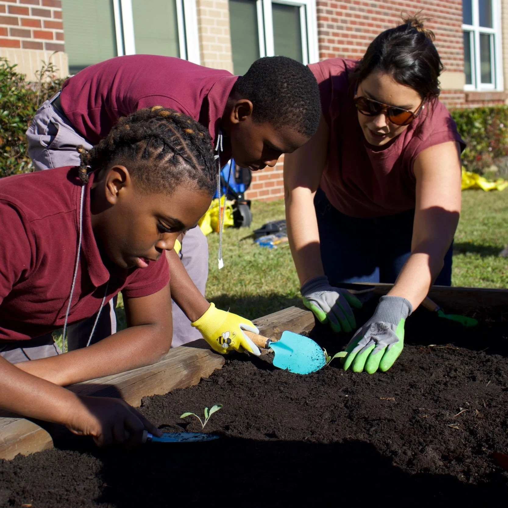 December Academic Support Highlights in The Avenue