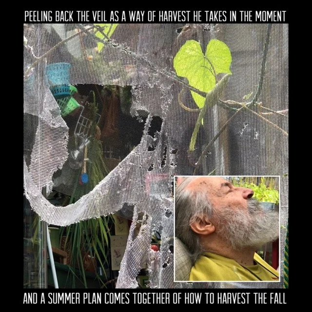 IMG_2836 Medium.jpeg