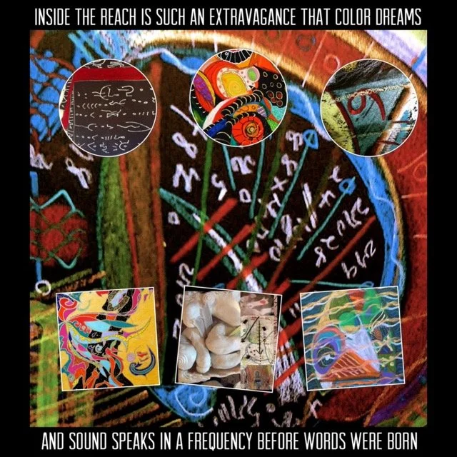 IMG_2684 2 Medium.jpeg