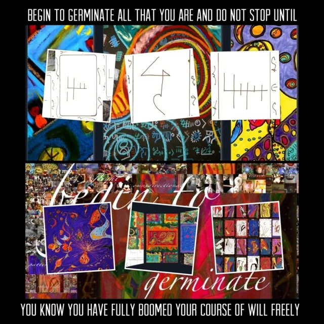 IMG_2606 Medium.jpeg