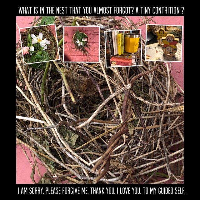 IMG_3297 Medium.jpeg