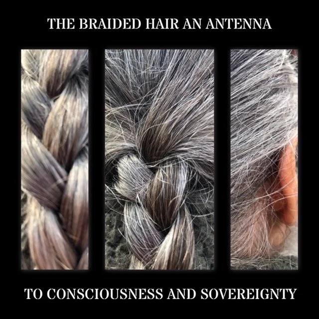 IMG_4034 Medium.jpeg