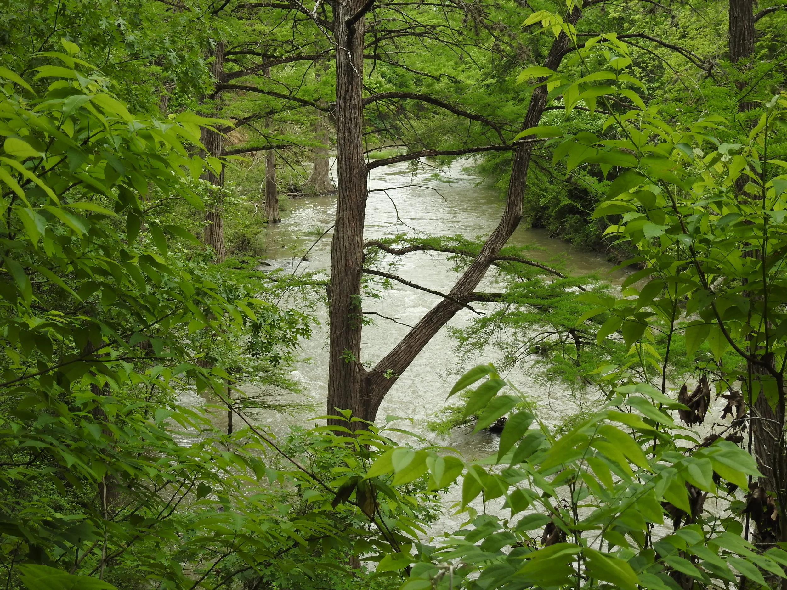 DSCN1869.JPG