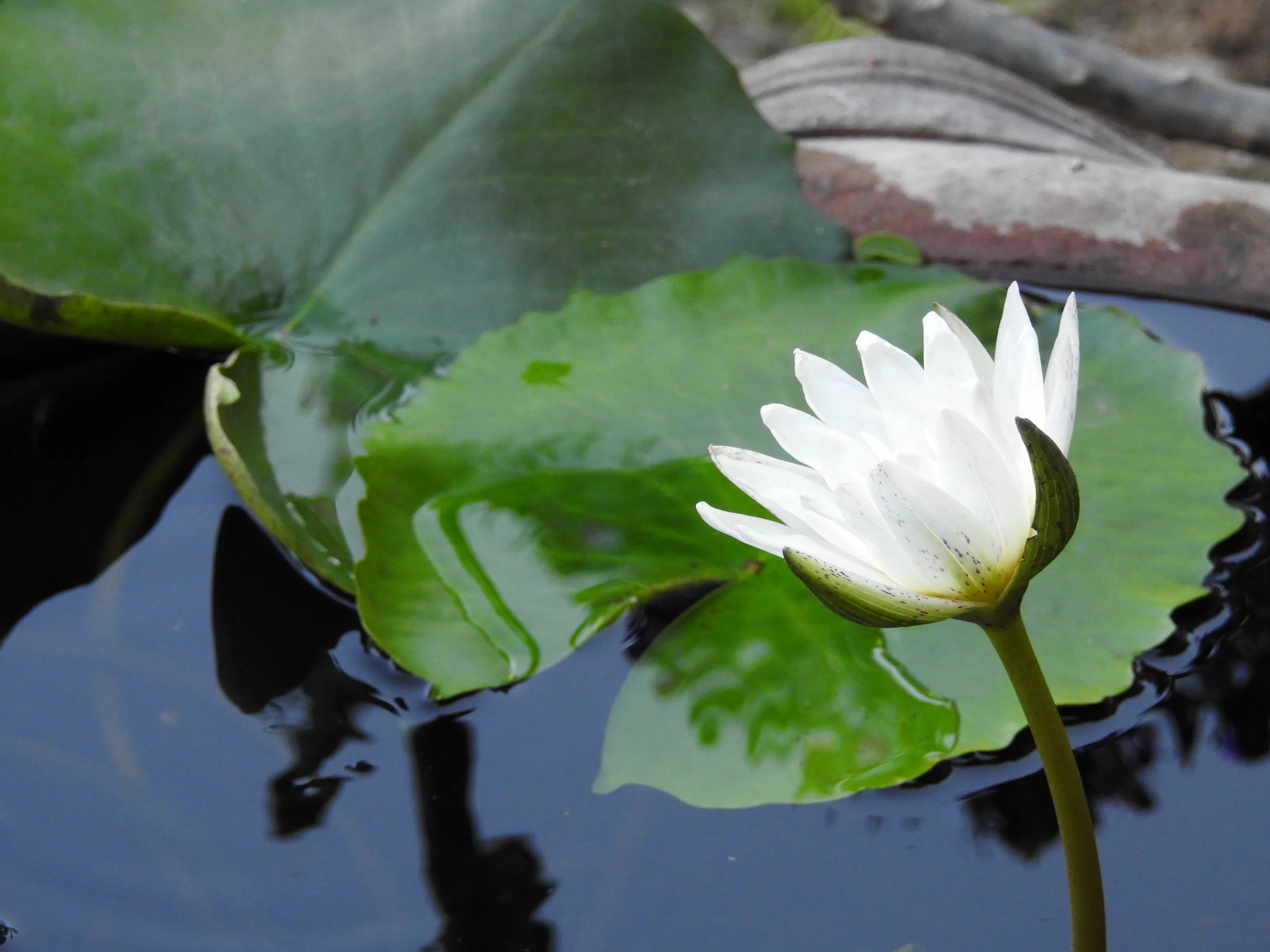DSCN3347.JPG