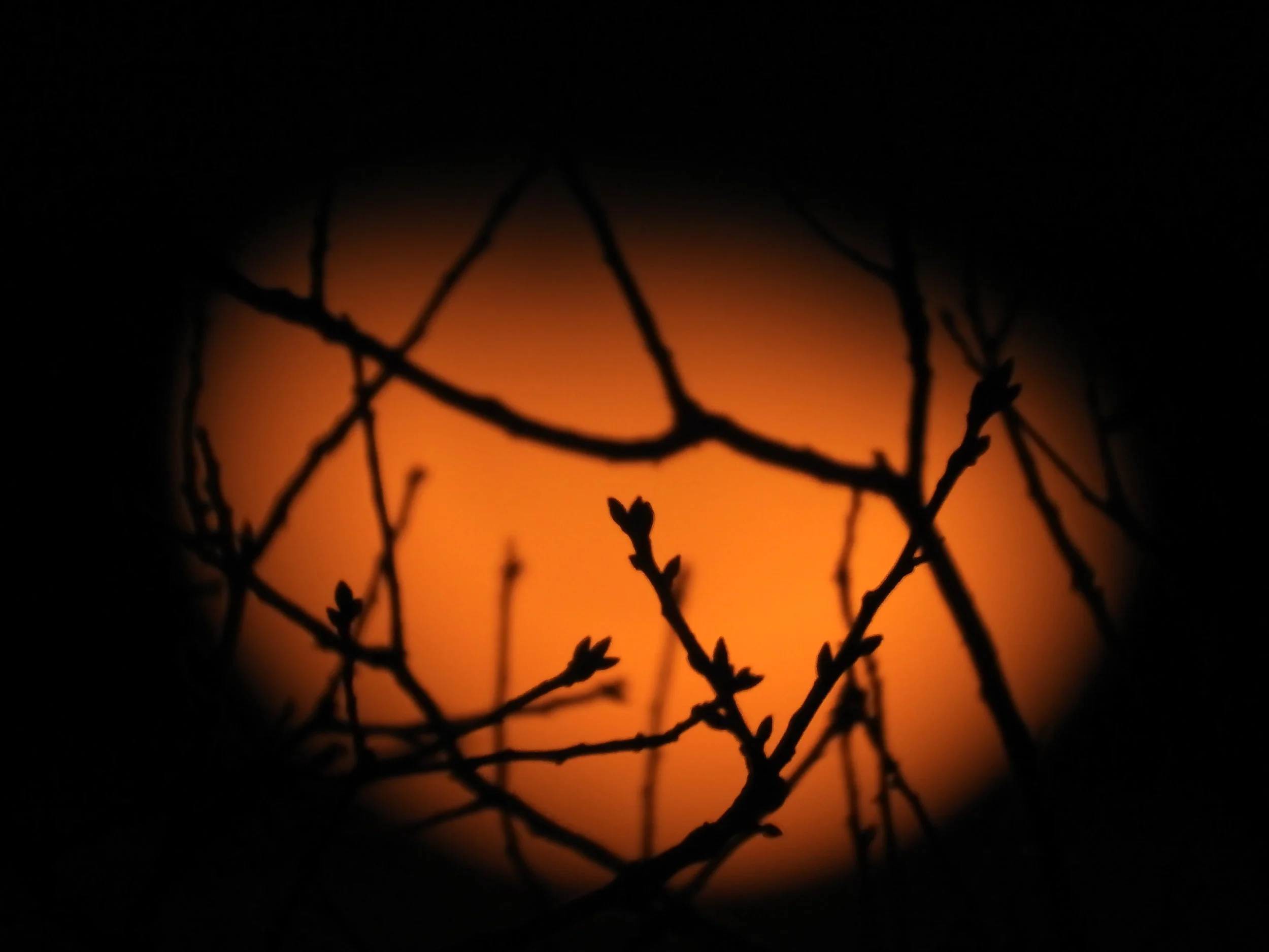 DSCN1580.JPG