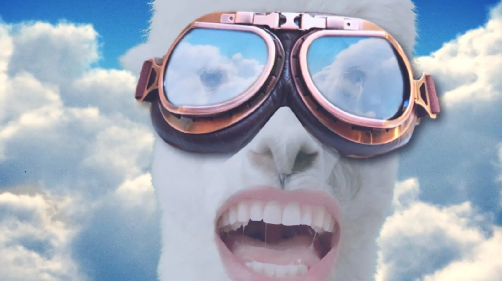 WhatsApp Image 2019-10-17 at 10.58.35 AM.jpeg