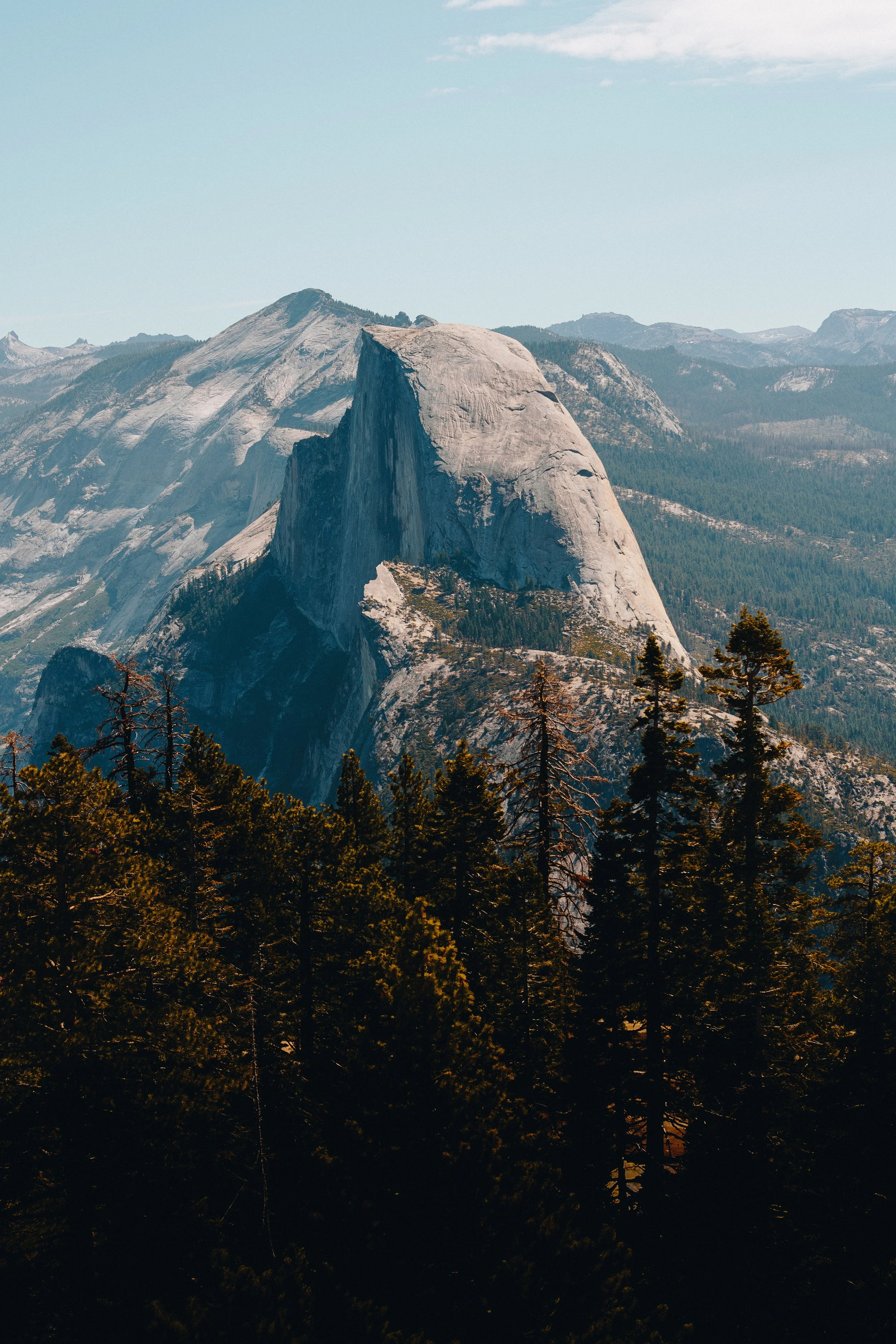_DSC7649.jpg