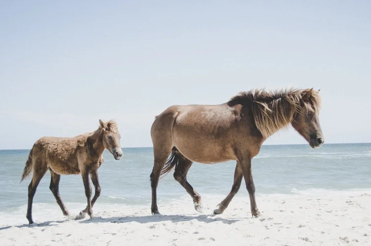 Family Talks Minutes - July 14th 